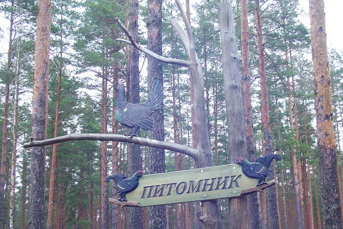 Семинар собрал специалистов охотничьего дела в Воложинском лесхозе. фото